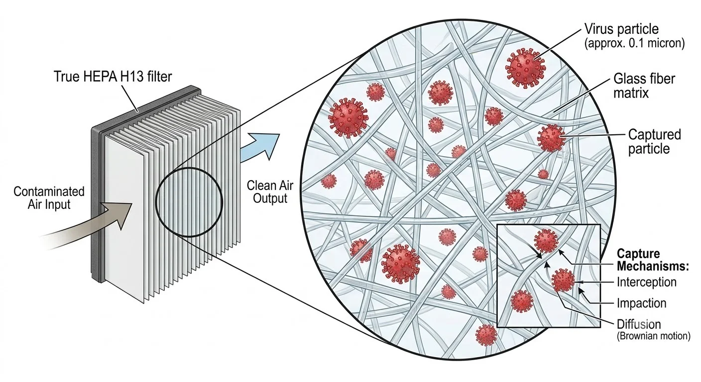 How HEPA filters capture virus particles - microscopic cross-section view