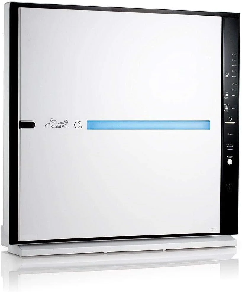 Rabbit Air BioGS 2.0