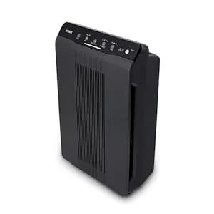 Winix 5500-2