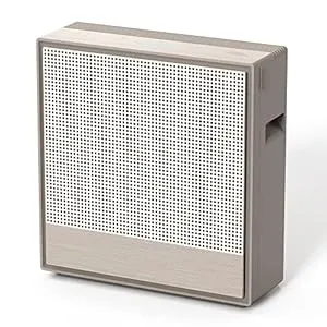 Coway Airmega 250